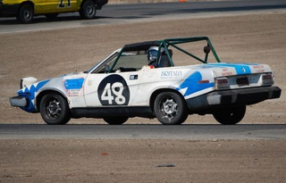 Illustration for article titled The Top 95 Lemons Of The Buttonwillow Histrionics 24 Hours Of LeMons
